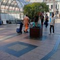 JKP „Mediana“: U Obrenovićevoj nije bilo seče stabala, već redovno orezivanje