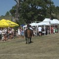 Takovo oživelo tradiciju konjičkog sporta: tridesetak takmičara iz Srbije odmerilo snage u preponskom jahanju