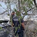 Požari u Srbiji – na Stolovima zaustavljeno širenje vatre, bolja situacija na Deliblatskoj peščari