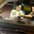 Anđela Đuričić stigla u „elitu 10“ i odmah doživela mali peh! Mučila se sa gepekom automobila, pa projurila pored novinara…