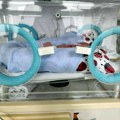 Нишлијка којој је умрла беба поднела кривичне пријаве против ГАК-а и Дечије клинике