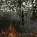 Požari u brazilskom Amazonu najgori u poslednjih 20 godina