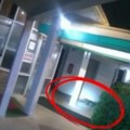 Čudovište zalutalo, pa završilo ispred hotela Gosti izleteli napolje vrišteći, snimak stvorenja kruži mrežama! (video)