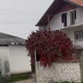 Stara trošna kuća bez ograde Ovde je nekada živela naša pevačica koja danas ima milione: Nikad nije zaboravila svoje korene…