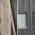 Fenomen na zgradi u centru Beograda! Na 20 metara visine osvanula divlja košnica: Ima i meda, ljudi u neverici