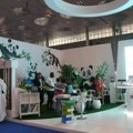 Interaktivna panda-zona na međunarodnom sajmu knjiga u Dohi