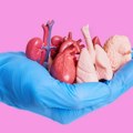 Zašto neke organe imamo u paru: Bubrezi, pluća, oči, uši…