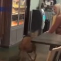 Divlja životinja utrčala u restoran Radnici i kupci u SAD ostali šokirani (video)