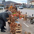 Počela prodaja badnjaka na niškim pijacama, najjeftinija grančica je 50 dinara