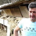 Zaklali ovcu pa je vukli 100 metara do reke, dvoje male jagnjadi nigde nema: Krvavi pir kod Priboja