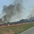 Požar u Zemunu, gori trava i smeće