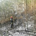 Lokalizovan veliki požar u Koštunićima, izgorelo 20 hektara šume i suvog rastinja