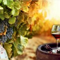Lepa vest za vinogradare i vinare Novac za nove čokote i preradu grožđa evo koje podsticaje je najavio ministar