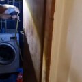 (Video) Drama u domu srpske porodice: Iza veš mašine zatekli zmiju od preko metar: Vladica Stanković odmah reagovao!