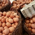 Kragujevac: Kontrola jaja, suhomesnatih i mlečnih proizvoda na pijacama