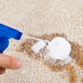 Ljudi se kunu u ovaj metod: Ova dva sastojka brišu i najtvrdokornije mrlje sa tepiha, čak i one koje ostave vaši kućni ljubimci…