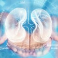 Transplatacija: Kada nema više pomoći, rešenje je novi organ! Kada se pojavi donor svi su na nogama