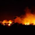Uprava za vanredne situacije u Novom Sadu krenula u pojačani nadzor terena zbog rizika od požara