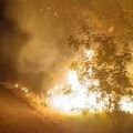 Požar kod Trebinja stavljen pod kontrolu: Helikopteri pomogli u obuzdavanju vatre