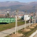 Za dve decenije u Pirotu zasađeno preko 10.000 novih stabala