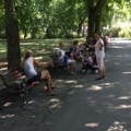 Scena kao iz španske serije! Žena bez svesti, pop je drži za ruku, prolaznici prave hladovinu, a hitna kreće u borbu za život!…