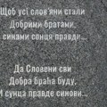 Ambasada Ukrajine obeležila Dan sabornosti polaganjem venaca na spomenik u Novom Sadu