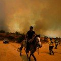 U požarima u Čileu stradalo 19 ljudi