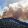 Klimatske promene uz štetočine, vetar i vatru obaraju šumska stabla kao domine