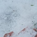 (Foto, video) nevreme hara Srbijom, grad tuče na sve strane! Dramatični snimci: Dvorišta belela, stradaju usevi, ova mesta…