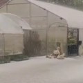 (Foto/video) nevreme grabi ka Srbiji, u komšiliku napravilo totalni haos Grad upropastio useve i polupao automobile evo šta…