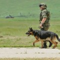 Vojska prodaje „suvišne i rashodovane službene pse“, građani negoduju i traže udomljavanje