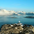 Grenland odobrio rudarenje molibdena