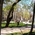 Ništa od radova u Gradskom parku u Požarevcu: Tender za obnovu privremeno obustavljen