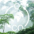 Klimatske promene menjaju ljudsku krv: Porast ugljen-dioksida ključni marker približava gornjoj granici zdravog raspona
