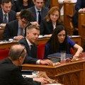 Peter Mađar pred parlamentom izneo šest uslova interesa države, najavio da će biti ispitano delovanje Sijarta: „Završena duga…