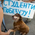 Studenti Lazarevca u predizbornoj kampanji obilaze naselja