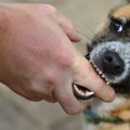 Dreser pasa izdvojio 5 rasa koje najčešće grizu: "Nisu one krive, već ljudi"