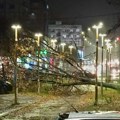 Vetar pravi haos po Leskovcu i čupa drveće, nadležni u pripravnosti