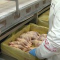 Uznemirujuća istina o pilećem mesu Ako brinete o svom zdravlju, pažljivo pročitajte ovaj tekst