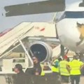 Ptica jača od aviona