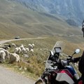 Pokazao stado ovaca i netaknutu prirodu: Brat Nikole Rokvića otišao u planine: Oglasio se na Instagramu, a evo šta mu je…
