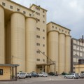 Počela žetva pšenice - biće je dovoljno i za izvoz