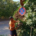 JKP „MEDIANA“ DANAS NA VIŠE LOKACIJA U NIŠU: ČIŠĆENJE, KOŠENJE, OREZIVANJE I POLIVANJE ZELENILA