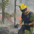 MUP: Lokalizovani požari kod Raške, Bujanovca i Bora