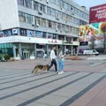 Inspektori niške Opštine Medijana počinju da kontrolišu i kažnjavaju vlasnike koji ne čiste za psima