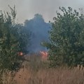 Prvi snimak požara na Bežanijskoj kosi, vatra se približila groblju: Poznato šta gori