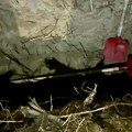 FOTO MUP: Policija sprečila ubistvo, članovi kriminalne grupe kopali raku, imali sonu kiselinu i kreč