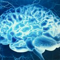 Veštačka inteligencija rešila matematičku zagonetku staru 80 godina