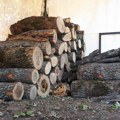 Počelo grejanje, ogrevno drvo jeftinije nego prošle jeseni
