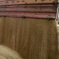 Pomoć za najsiromašnije zemlje afrike: Rusija isporučila 200.000 tona pšenice
